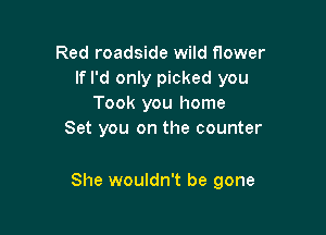 Red roadside wild flower
If I'd only picked you
Took you home
Set you on the counter

She wouldn't be gone