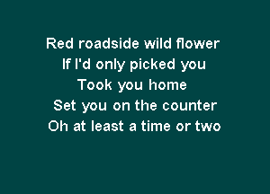 Red roadside wild flower
If I'd only picked you
Took you home

Set you on the counter
Oh at least a time or two