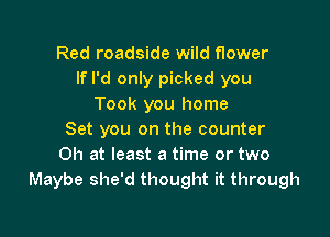 Red roadside wild flower
If I'd only picked you
Took you home

Set you on the counter
Oh at least a time or two
Maybe she'd thought it through