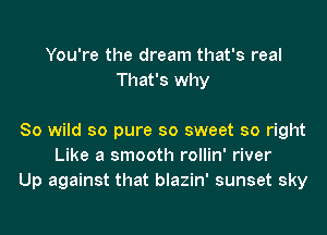 You're the dream that's real
That's why

80 wild so pure so sweet so right
Like a smooth rollin' river
Up against that blazin' sunset sky