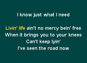 I know just what I need

Livin' life ain't no mercy bein' free

When it brings you to your knees
Can't keep lyin'
I've seen the road now