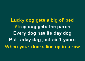 Lucky dog gets a big ol' bed
Stray dog gets the porch
Every dog has its day dog

But today dog just ain't yours

When your ducks line up in a row