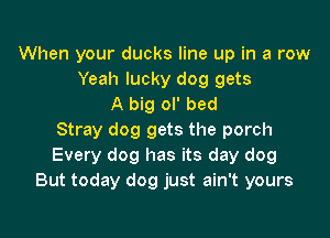 When your ducks line up in a row
Yeah lucky dog gets
A big ol' bed

Stray dog gets the porch
Every dog has its day dog
But today dog just ain't yours