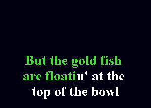 But the gold fish
are floatin' at the
top of the bowl
