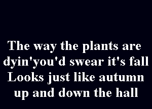 The way the plants are
dyin'you'd swear it's fall
Looks just like autumn
up and down the hall