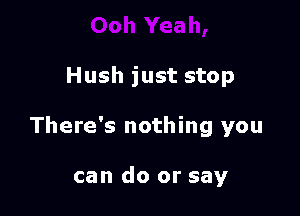 Hush just stop

There's nothing you

can do or say