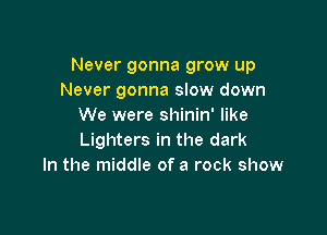 Never gonna grow up
Never gonna slow down
We were shinin' like

Lighters in the dark
In the middle of a rock show