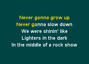 Never gonna grow up
Never gonna slow down
We were shinin' like

Lighters in the dark
In the middle of a rock show