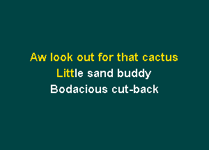 Aw look out for that cactus
Little sand buddy

Bodacious cut-back