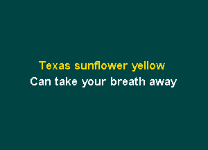 Texas sunflower yellow

Can take your breath away