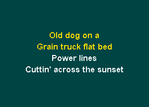 Old dog on a
Grain truck Hat bed

Power lines
Cuttin' across the sunset