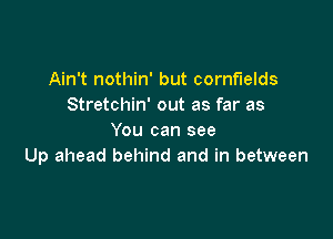 Ain't nothin' but cornfields
Stretchin' out as far as

You can see
Up ahead behind and in between