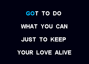 GOT TO DO
WHAT YOU CAN

JUST TO KEEP

YOUR LOVE ALIVE