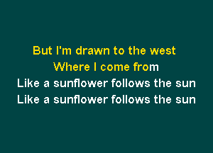 But I'm drawn to the west
Where I come from

Like a sunflower follows the sun
Like a sunflower follows the sun