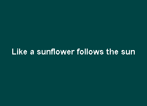 Like a sunnower follows the sun