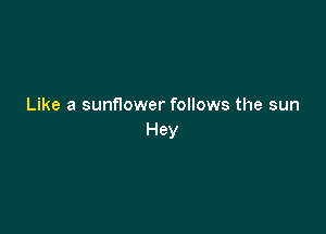 Like a sunflower follows the sun

Hey