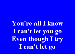 You're all I know

I calft let you go
Even though I try
I can't let go