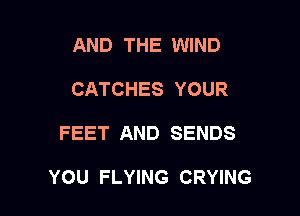 AND THE WIND
CATCHES YOUR

FEET AND SENDS

YOU FLYING CRYING