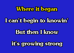 Where it began
I can't begin to knowin'
But then I know

it's growing strong