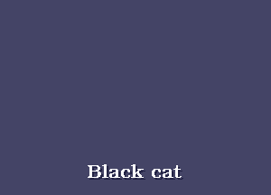 Black cat