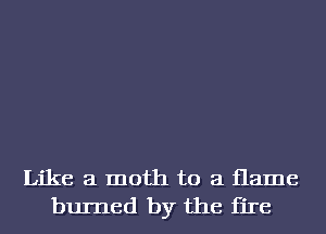 Like a moth to a ilame
burned by the fire