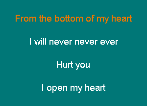 From the bottom of my heart
I will never never ever

Hurt you

I open my heart