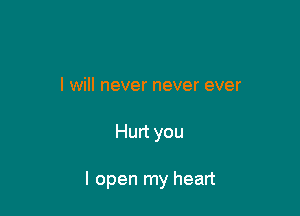 I will never never ever

Hurt you

I open my heart