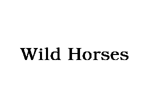 Wild Horses