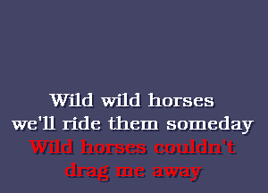 Wild Wild horses
we'll ride them someday