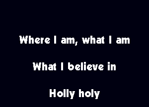 Where I am, what I am

What I believe in

Holly holy