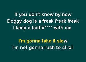 If you don't know by now
Doggy dog is a freak freak freak
I keep a bad Wm with me

I'm gonna take it slow
I'm not gonna rush to stroll