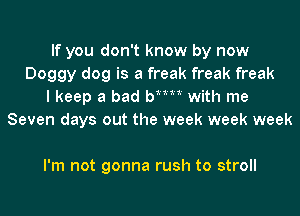 If you don't know by now
Doggy dog is a freak freak freak
I keep a bad bMM with me
Seven days out the week week week

I'm not gonna rush to stroll