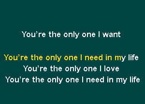 You're the only one I want

YouIre the only one I need in my life
You're the only one I love
YouIre the only one I need in my life