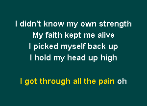 I didn't know my own strength
My faith kept me alive
I picked myself back up
I hold my head up high

I got through all the pain oh