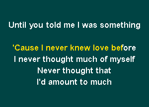 Until you told me I was something

'Cause I never knew love before
I never thought much of myself
Never thought that
I'd amount to much