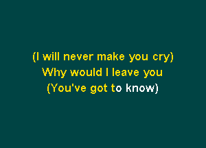 (I will never make you cry)
Why would I leave you

(You've got to know)