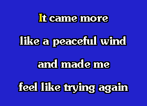 It came more
like a peaceful wind
and made me

feel like trying again