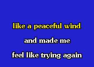 like a peaceful wind

and made me

feel like trying again