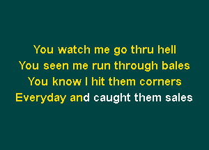 You watch me go thru hell
You seen me run through bales

You know I hit them corners
Everyday and caught them sales