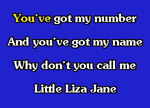 You've got my number
And you've got my name
Why don't you call me
Little Liza Jane