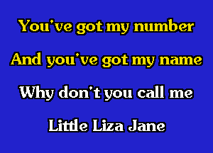 You've got my number
And you've got my name
Why don't you call me
Little Liza Jane