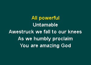 All powerful
Untamable
Awestruck we fall to our knees

As we humbly proclaim
You are amazing God