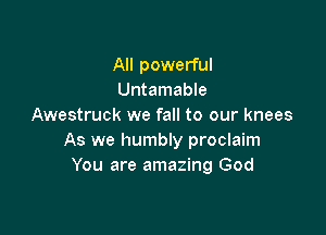 All powerful
Untamable
Awestruck we fall to our knees

As we humbly proclaim
You are amazing God