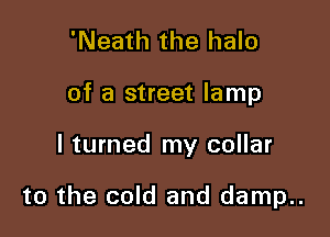 'Neath the halo

of a street lamp

I turned my collar

to the cold and damp..