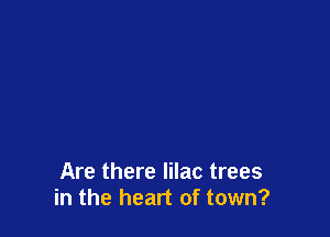 Are there lilac trees
in the heart of town?