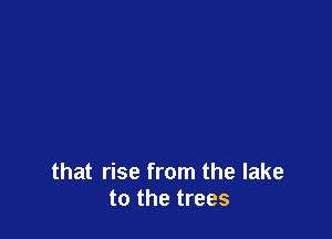 that rise from the lake
to the trees