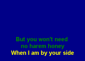 But you won't need
no harem honey
When I am by your side