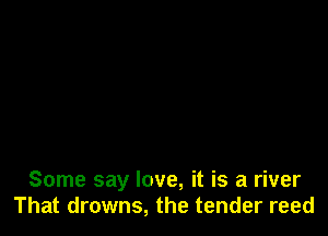 Some say love, it is a river
That drowns, the tender reed