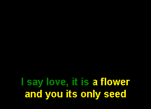 I say love, it is a flower
and you its only seed