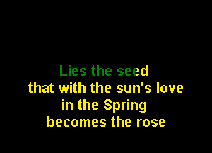 Lies the seed

that with the sun's love
in the Spring
becomes the rose